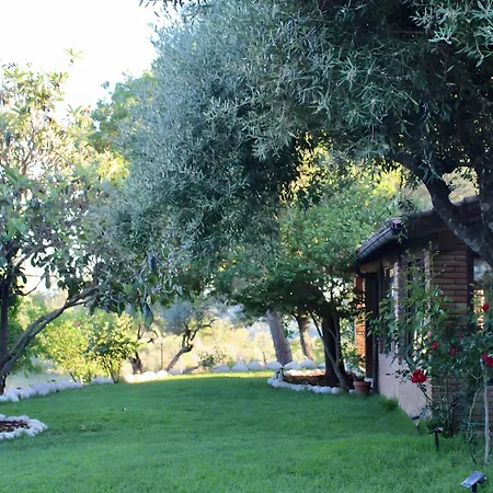 El Encanto